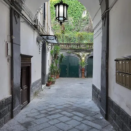 L'orchidea Al Museo In Centro Napoli