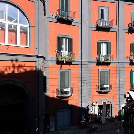 L'orchidea Al Museo In Centro * Napoli