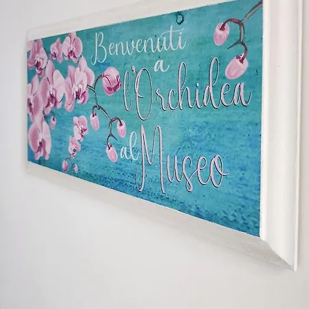 L'orchidea Al Museo In Centro * Napoli